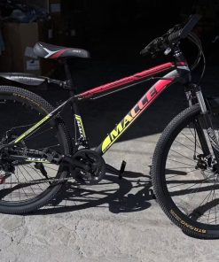 Mountain Bike (MTB)